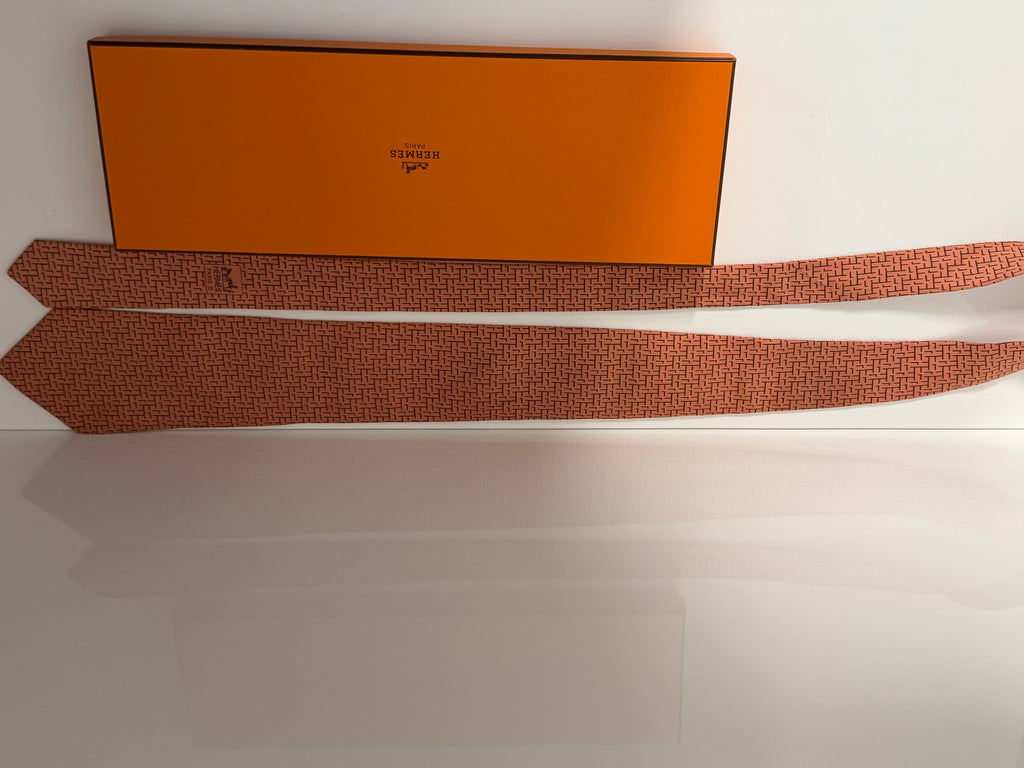 Hermès Paris Tie