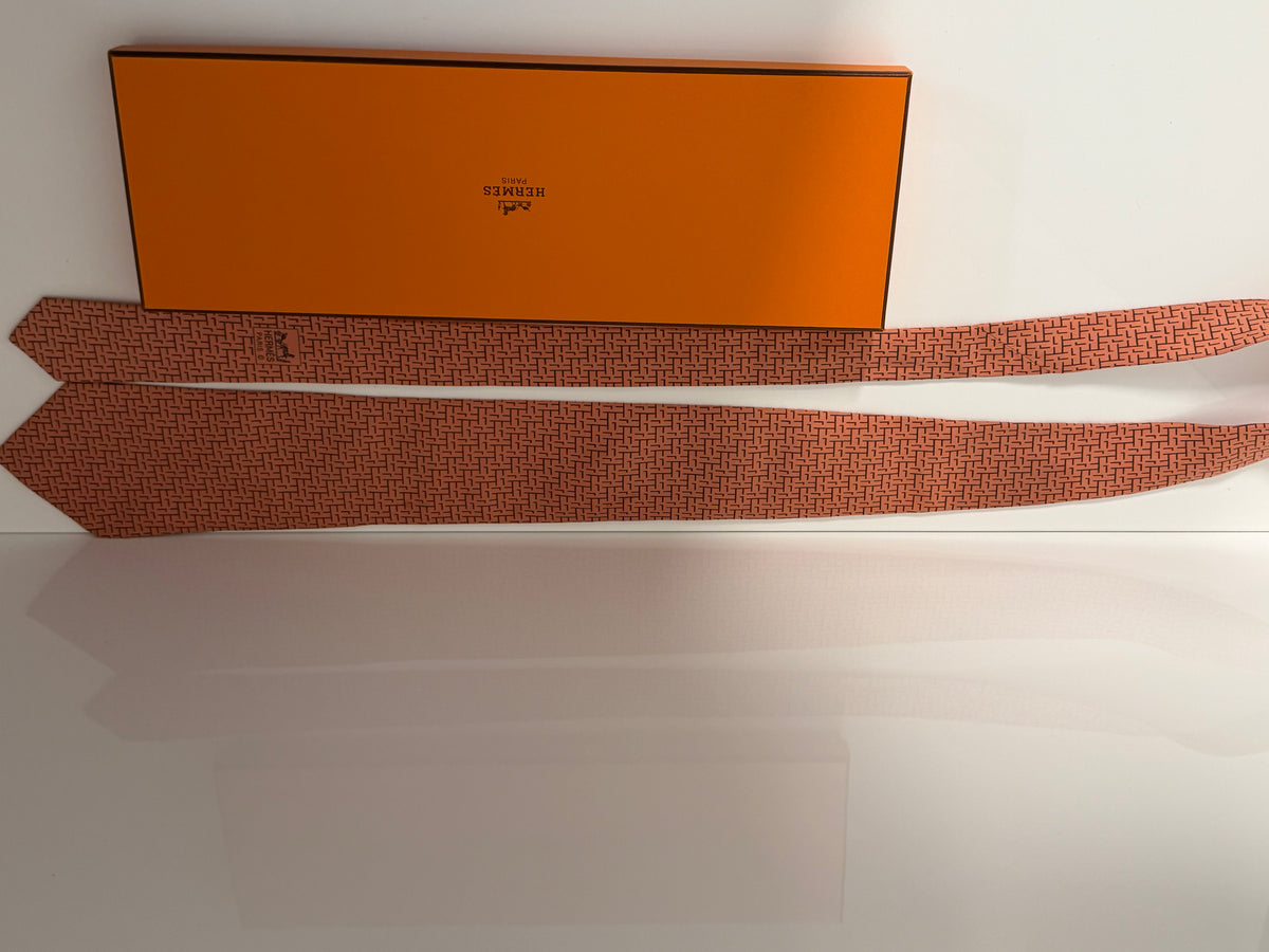 Hermès Paris Tie