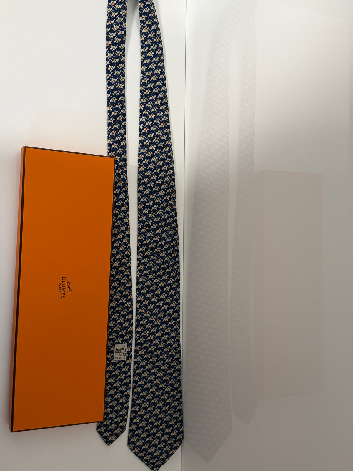 Hermès Paris Necktie
